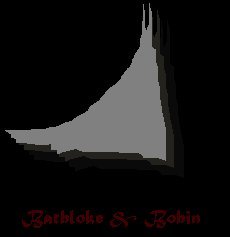 Batbloke And Bobin - The Fabricated Crusaders