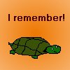 Turtle Recall